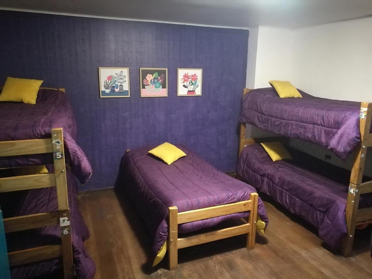 Columba Hostel Vina del Mar Dış mekan fotoğraf