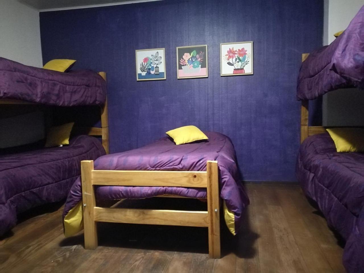 Columba Hostel Vina del Mar Dış mekan fotoğraf