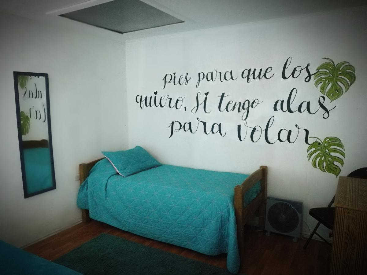 Columba Hostel Vina del Mar Dış mekan fotoğraf